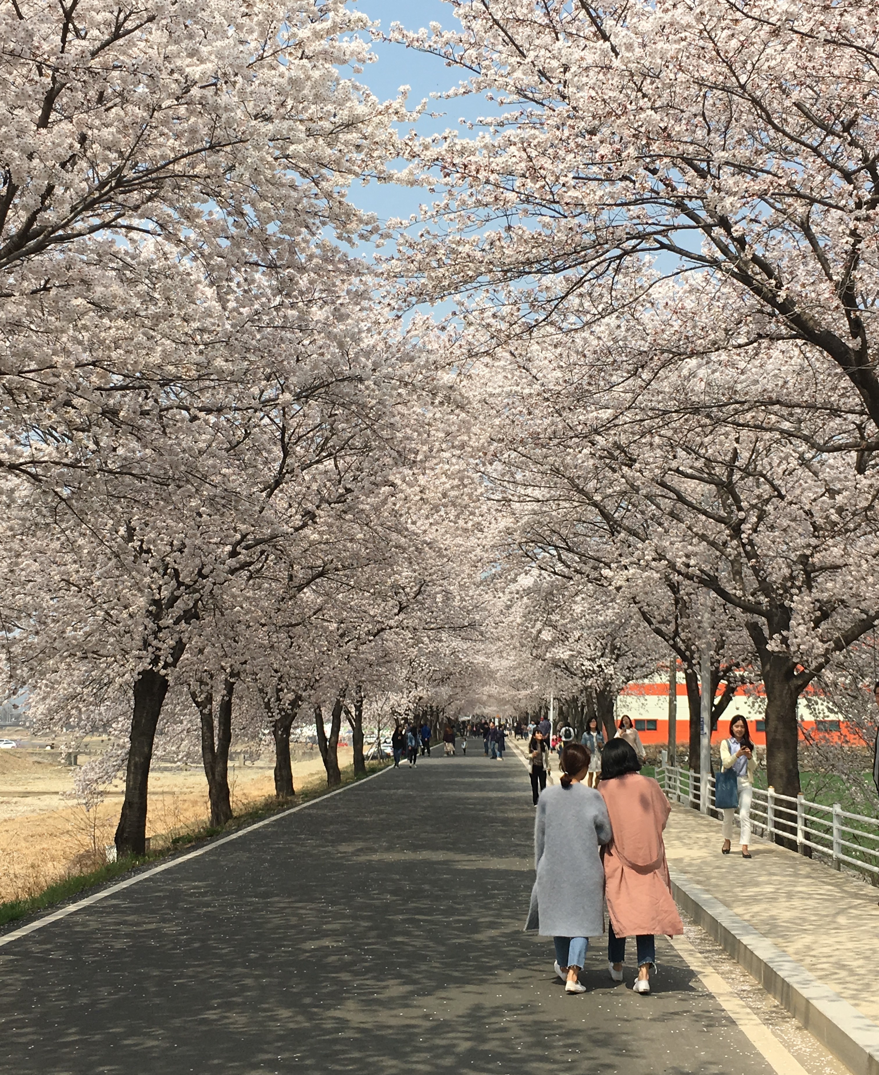 2019 Dalchangji picnic관련 이미지