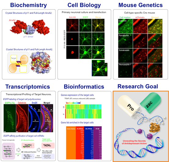 Experimental Approach.png